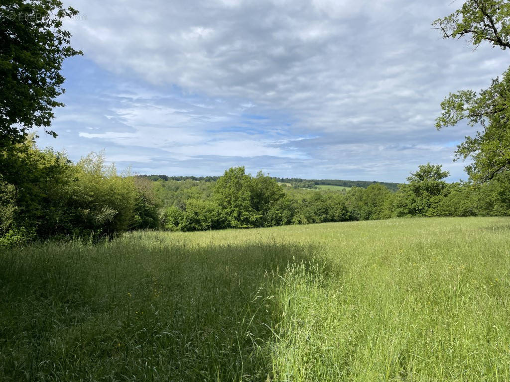 Terrain à VIGNOLS