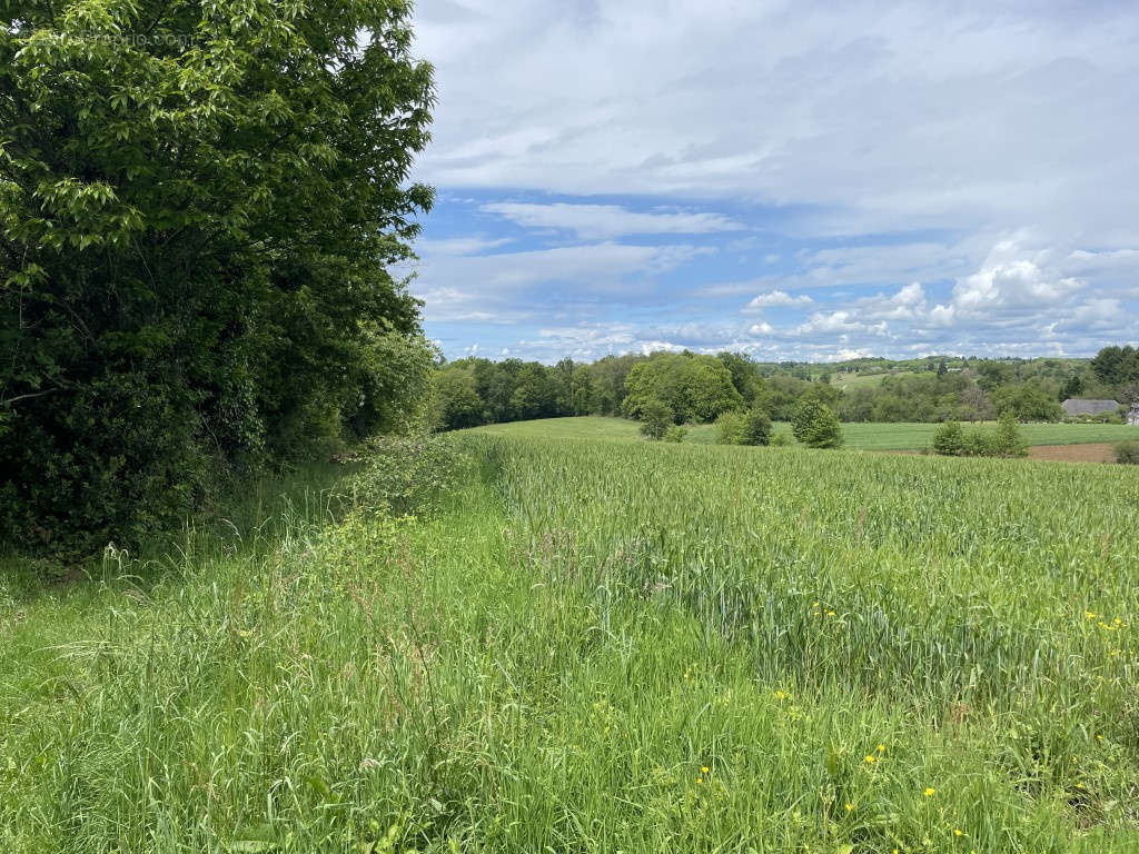 Terrain à VIGNOLS