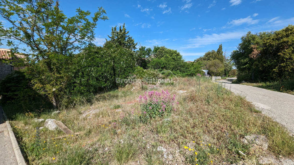 Terrain à SAINT-JULIEN