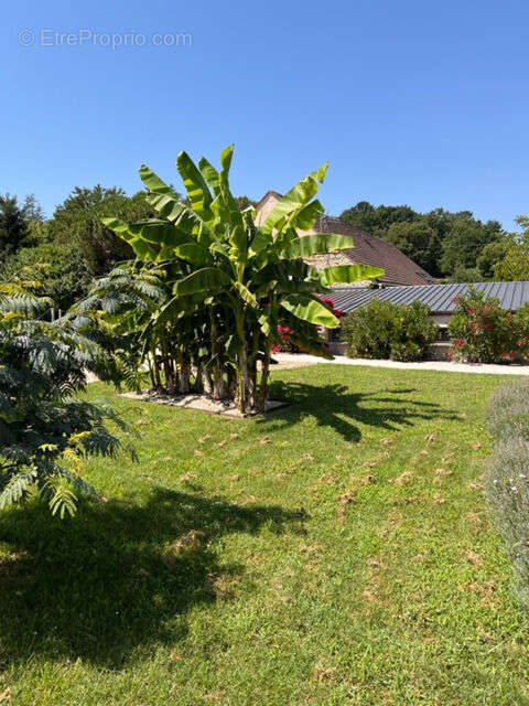 Maison à GOURDON