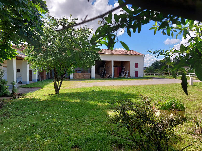 Maison à MONTAUBAN