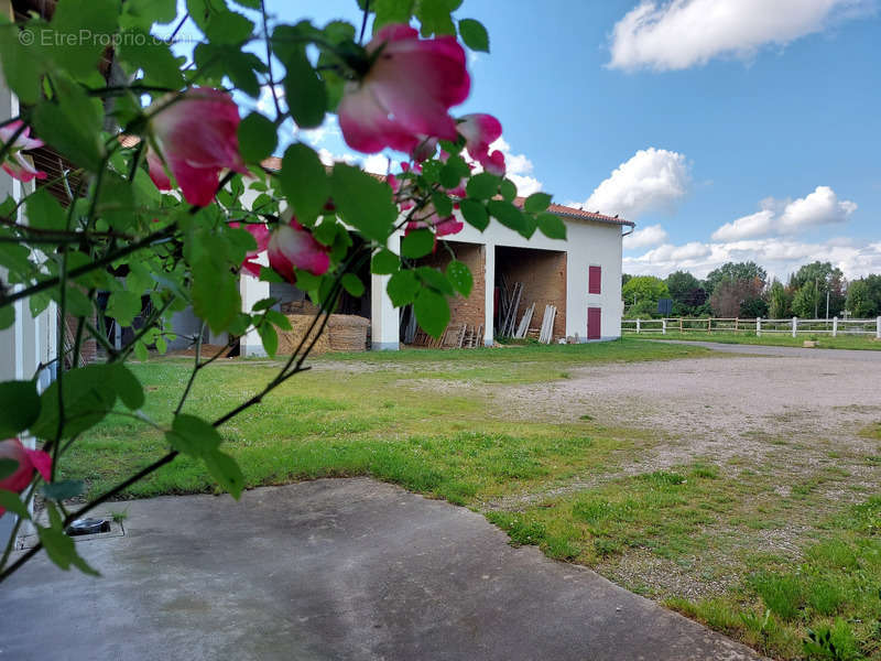 Maison à MONTAUBAN