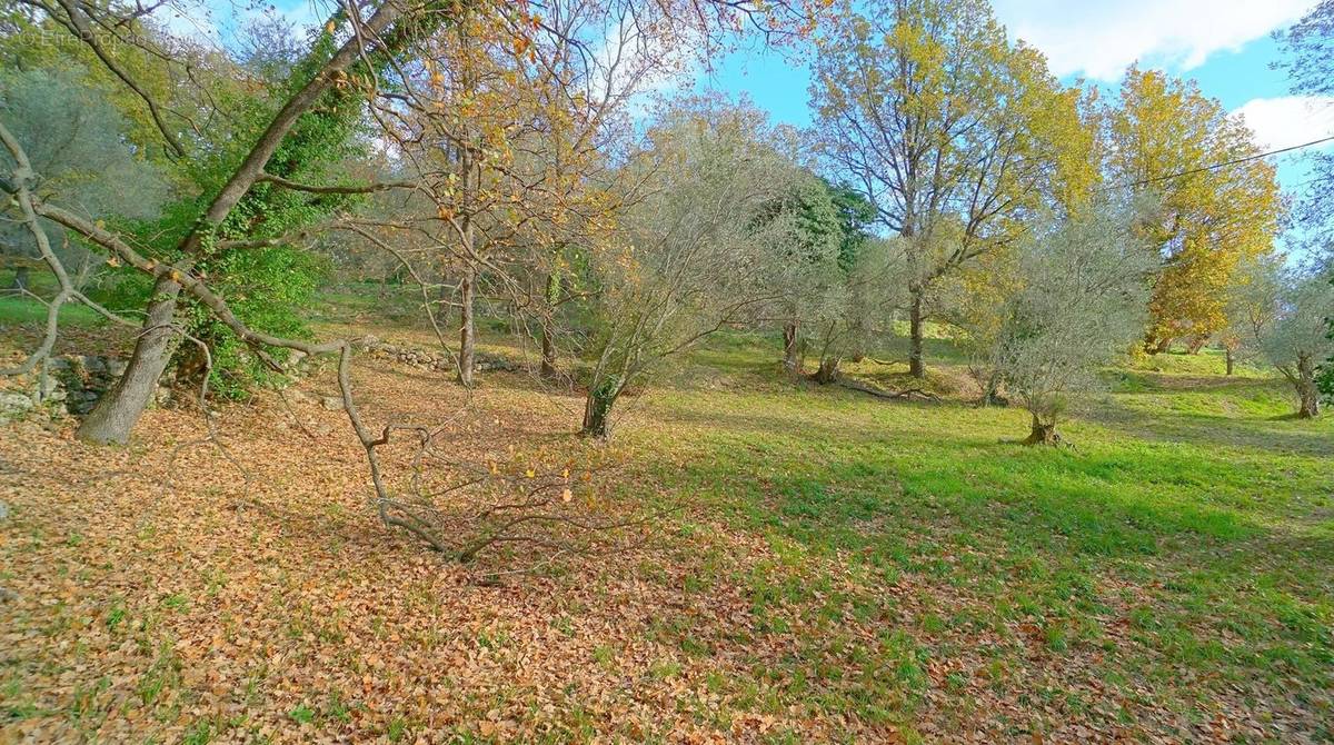 Terrain à OPIO