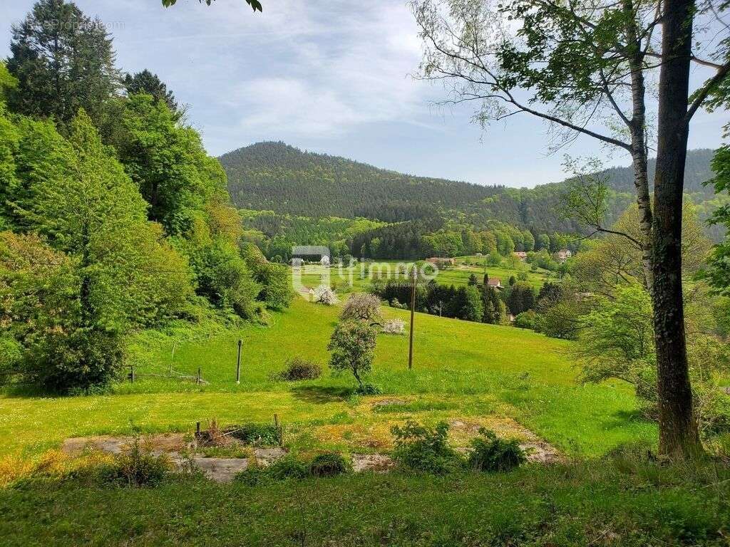 Terrain à WINDSTEIN