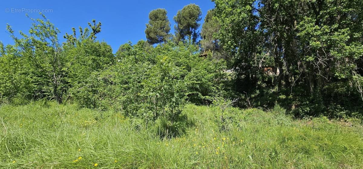 Terrain à TOURRETTE-LEVENS