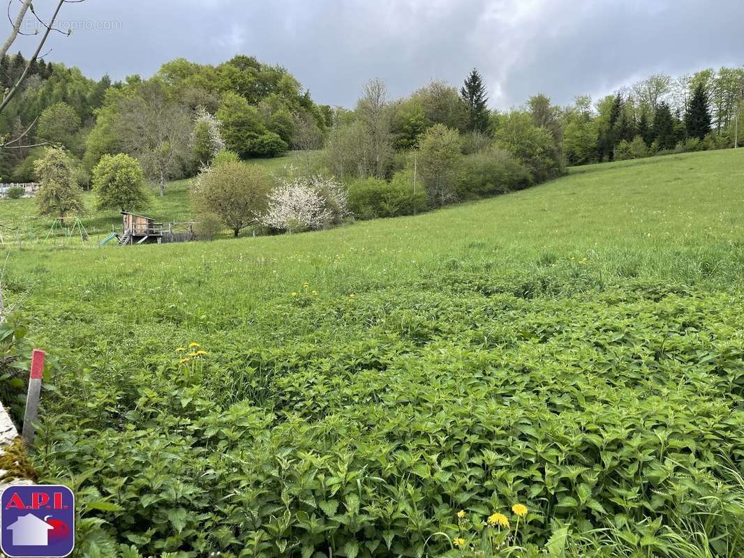 Terrain à ESPEZEL