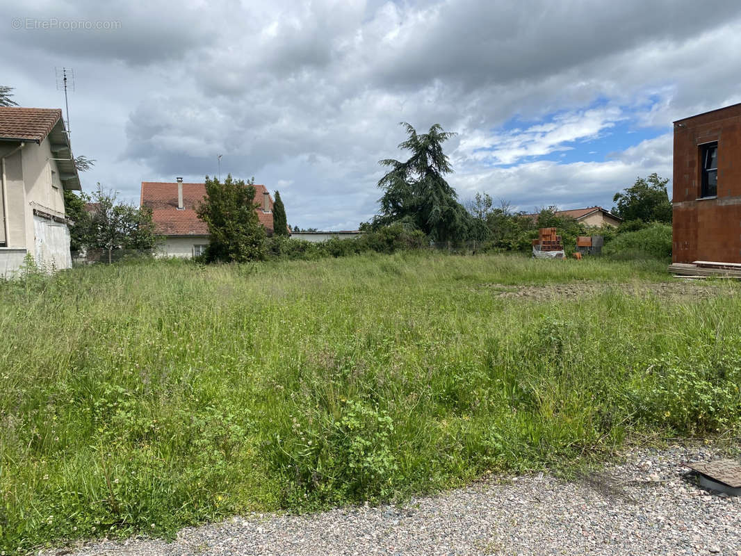 Maison à CUZIEU