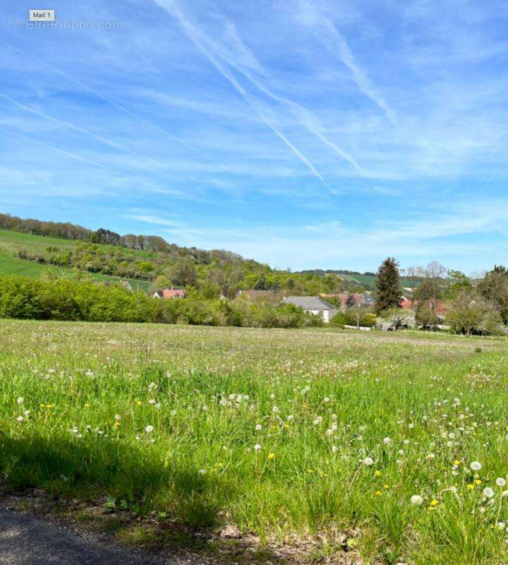 Terrain à SOULIGNY