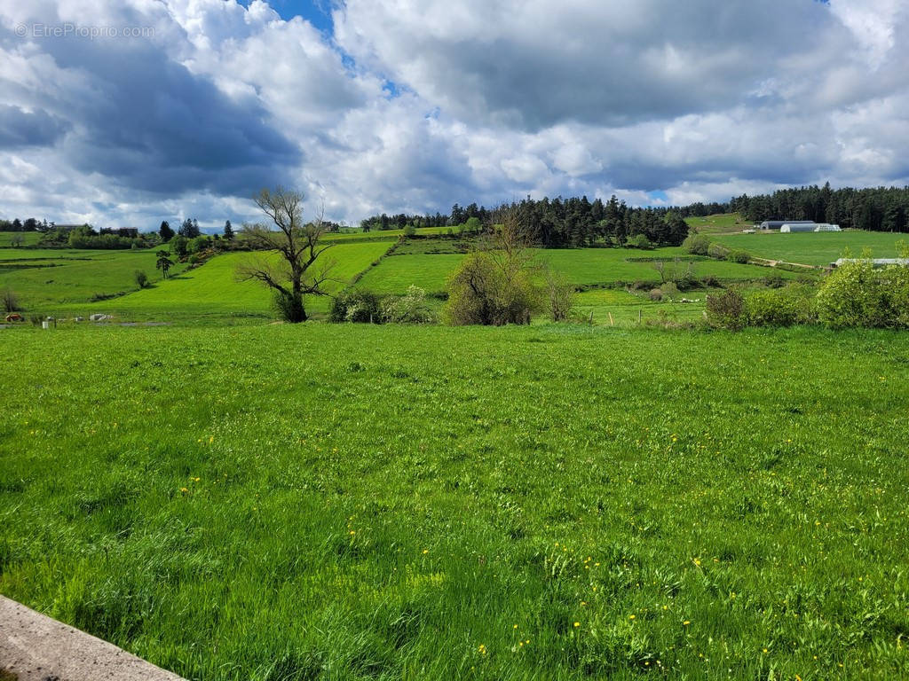 Terrain à GRANDRIEU