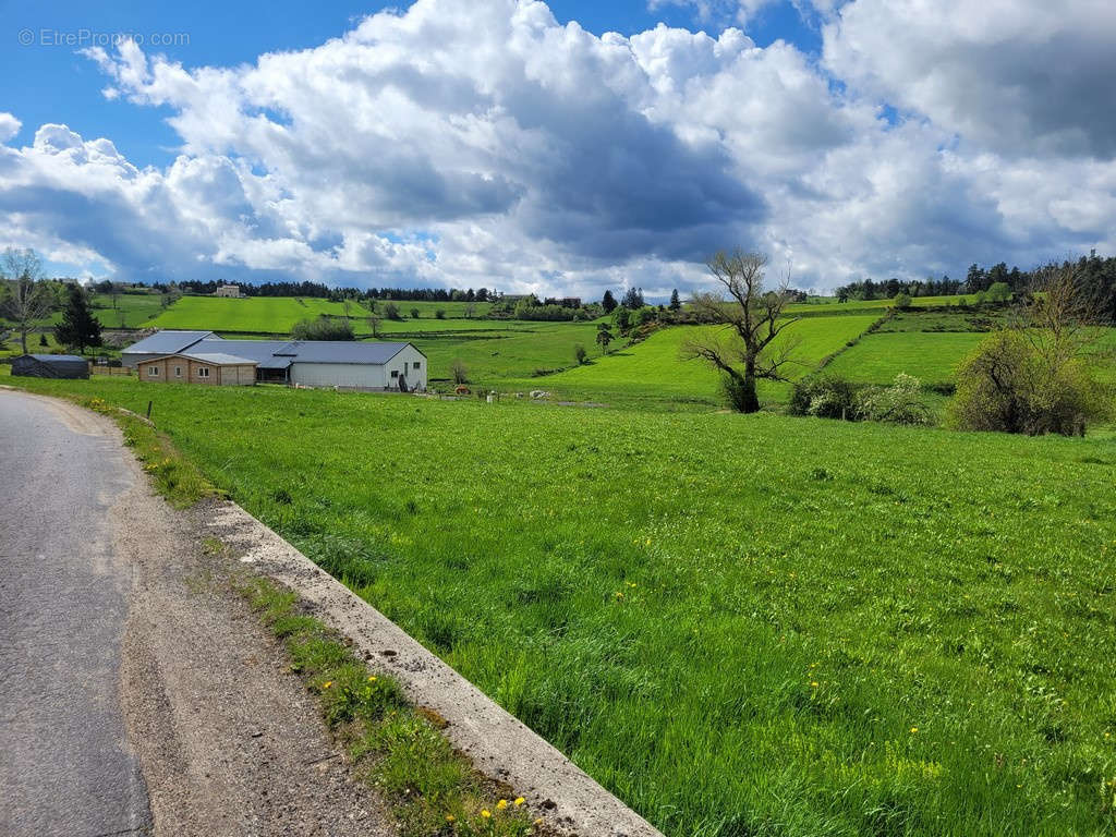 Terrain à GRANDRIEU