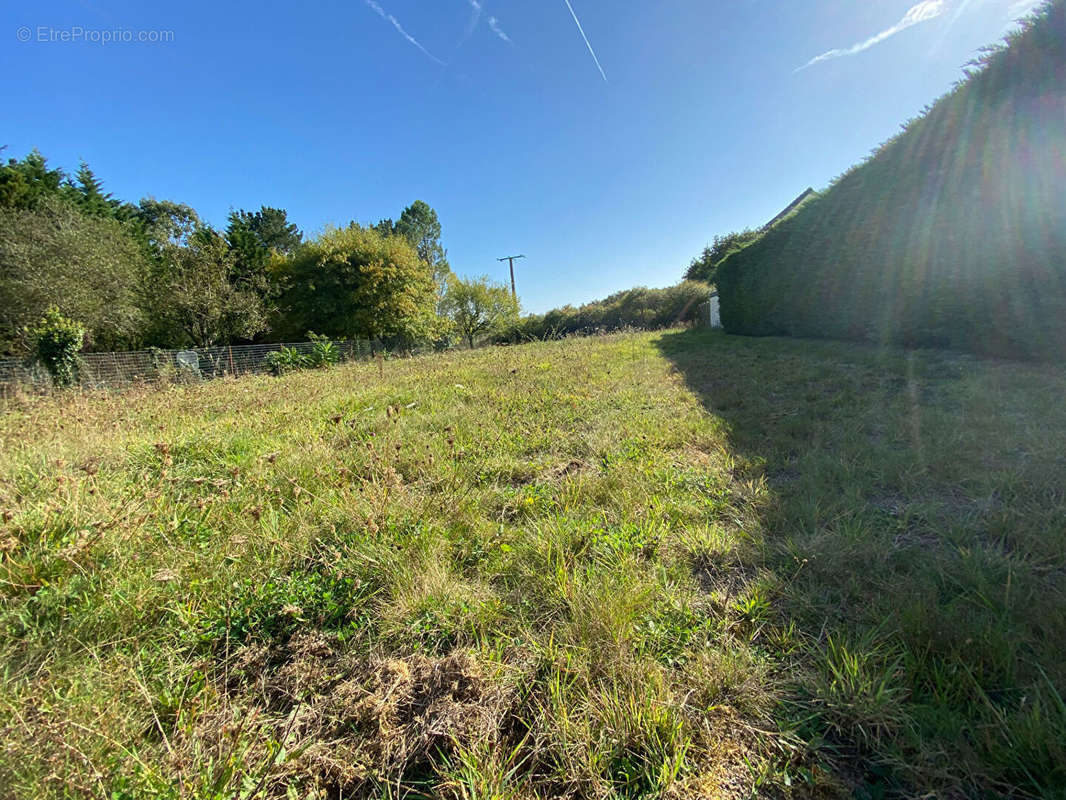 Terrain à GUERANDE