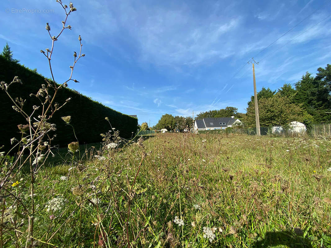 Terrain à GUERANDE