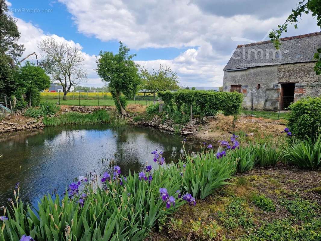 Maison à BALLAN-MIRE