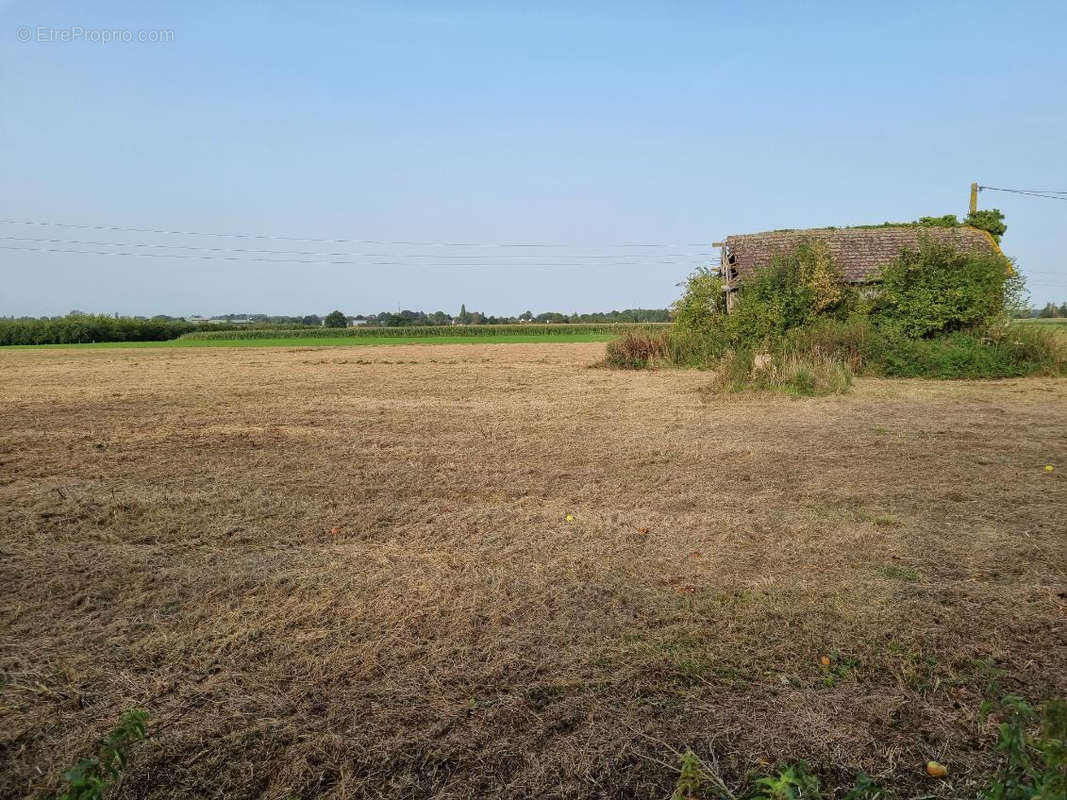 Terrain à BERNAY