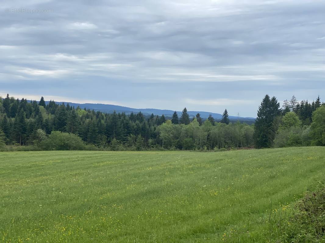 Terrain à LEVIER