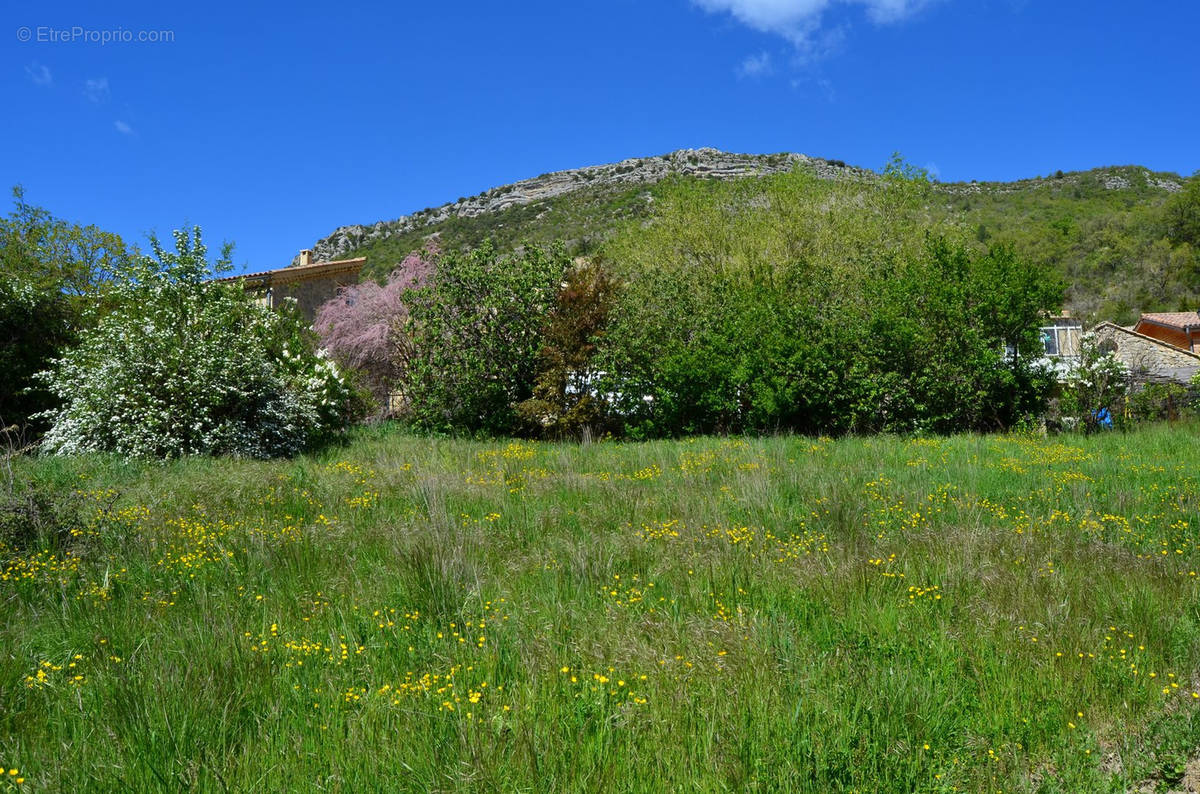 Terrain à LA ROCHE-SUR-LE-BUIS