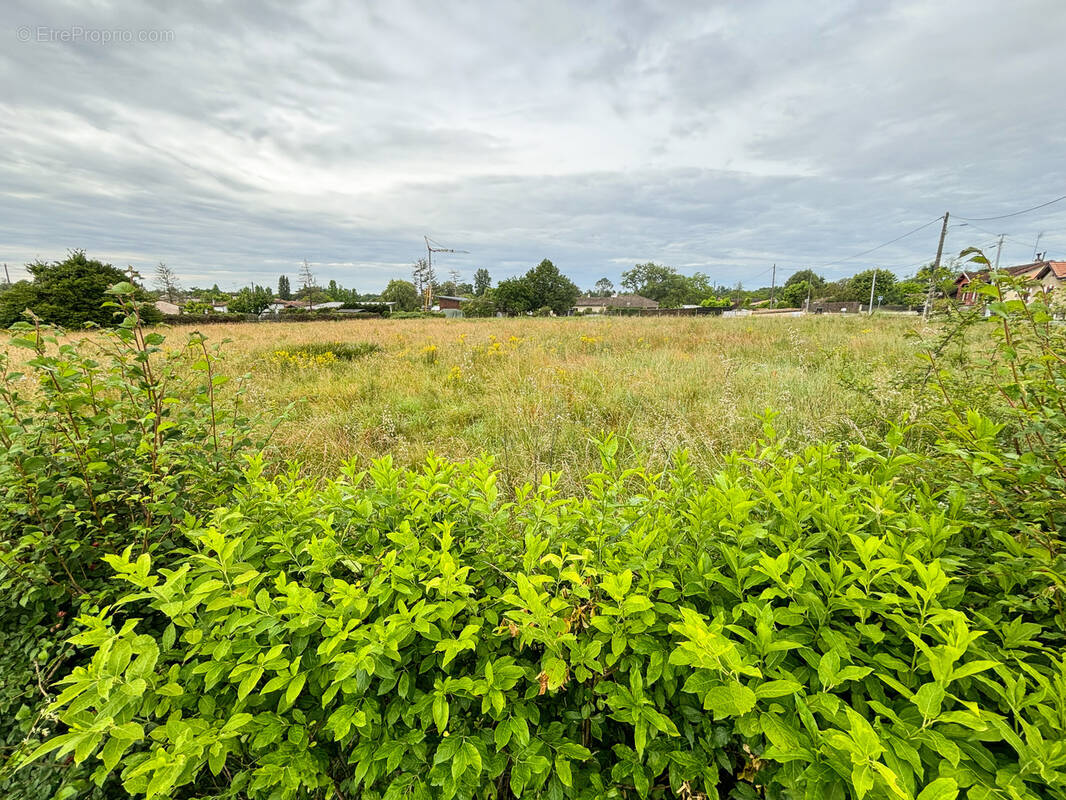 Terrain à VILLANDRAUT