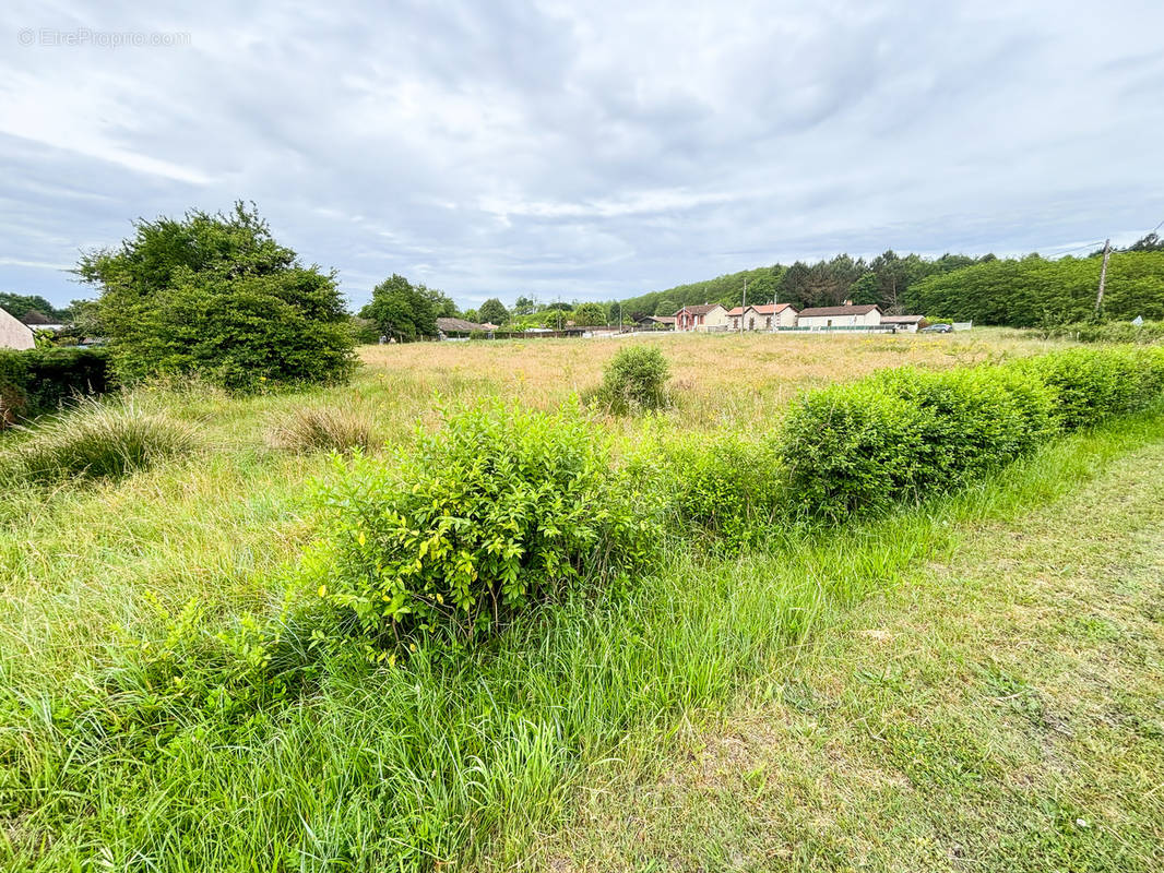 Terrain à VILLANDRAUT