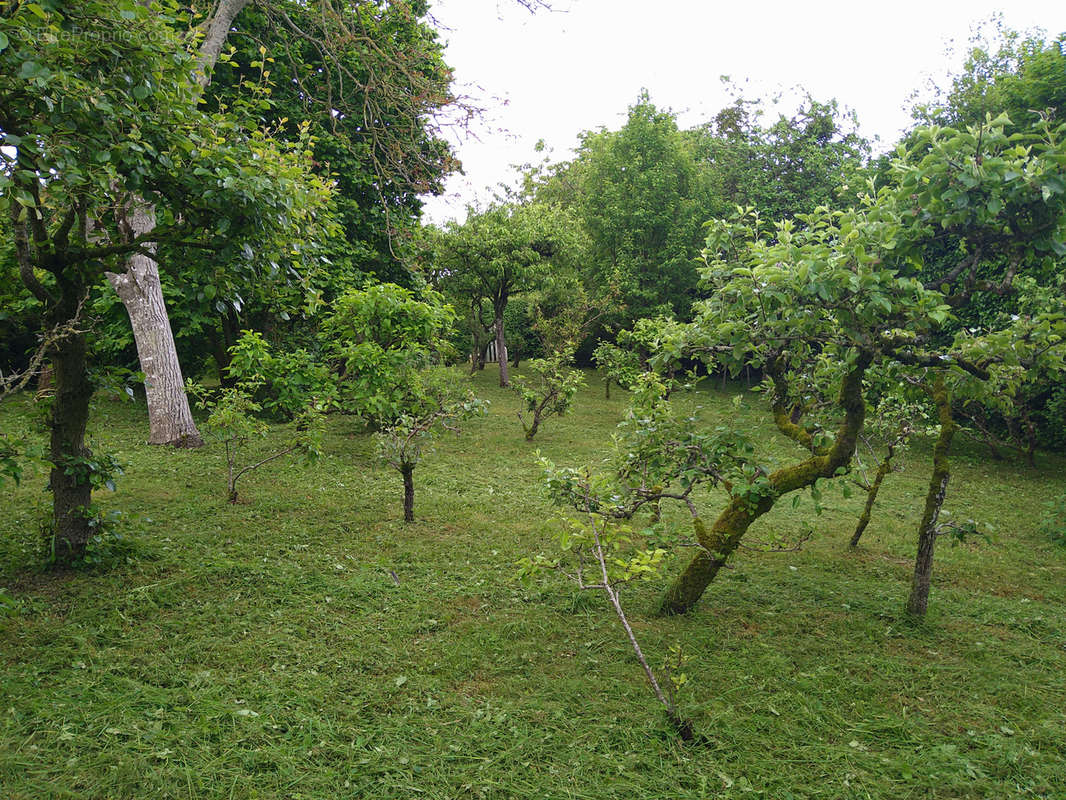 Terrain à SOUGE-LE-GANELON