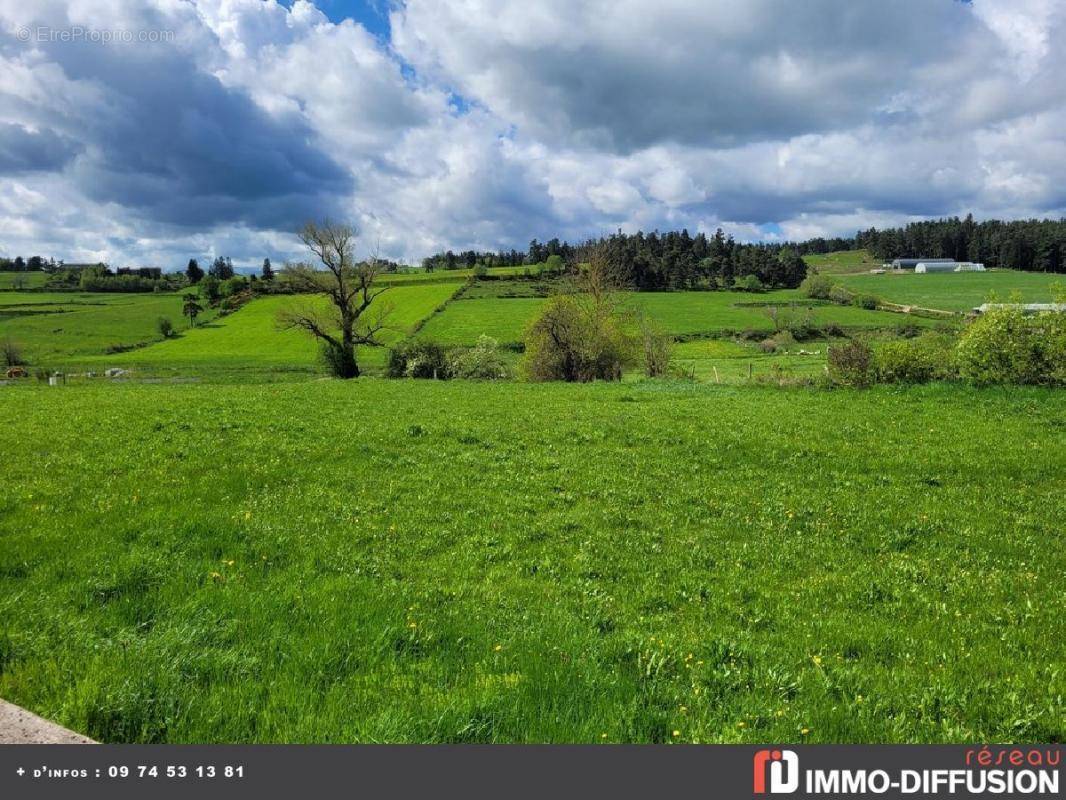 Terrain à GRANDRIEU