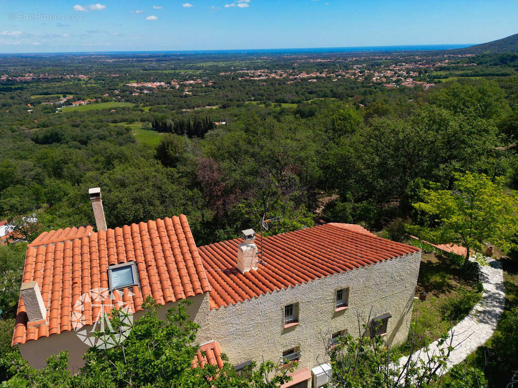 Maison à LAROQUE-DES-ALBERES