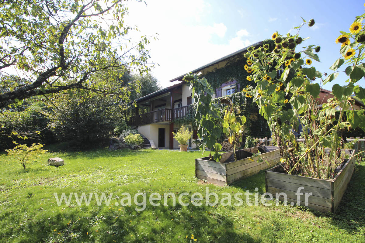 Maison à VESANCY