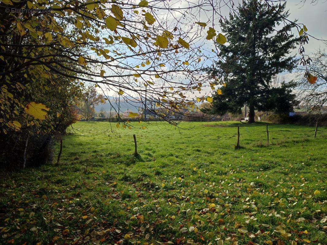 Terrain à ROUVRAY