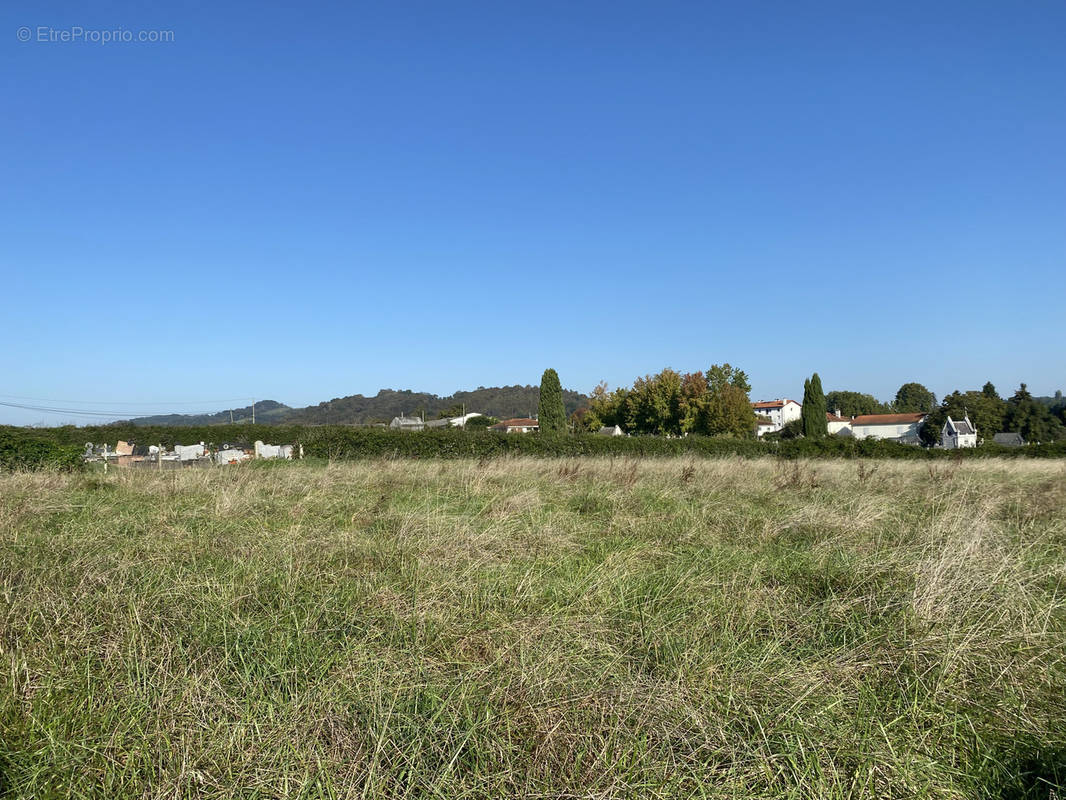 Terrain à SAINT-PALAIS