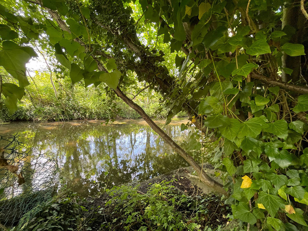 Terrain à DANNEMOIS