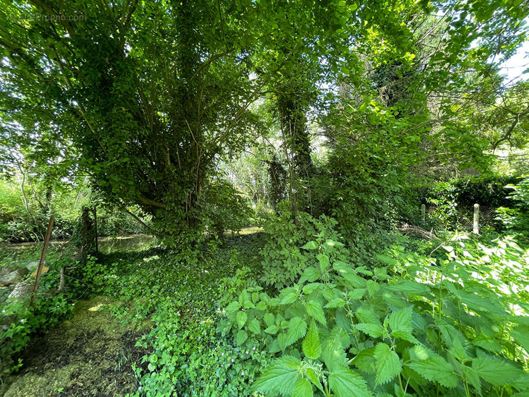 Terrain à DANNEMOIS