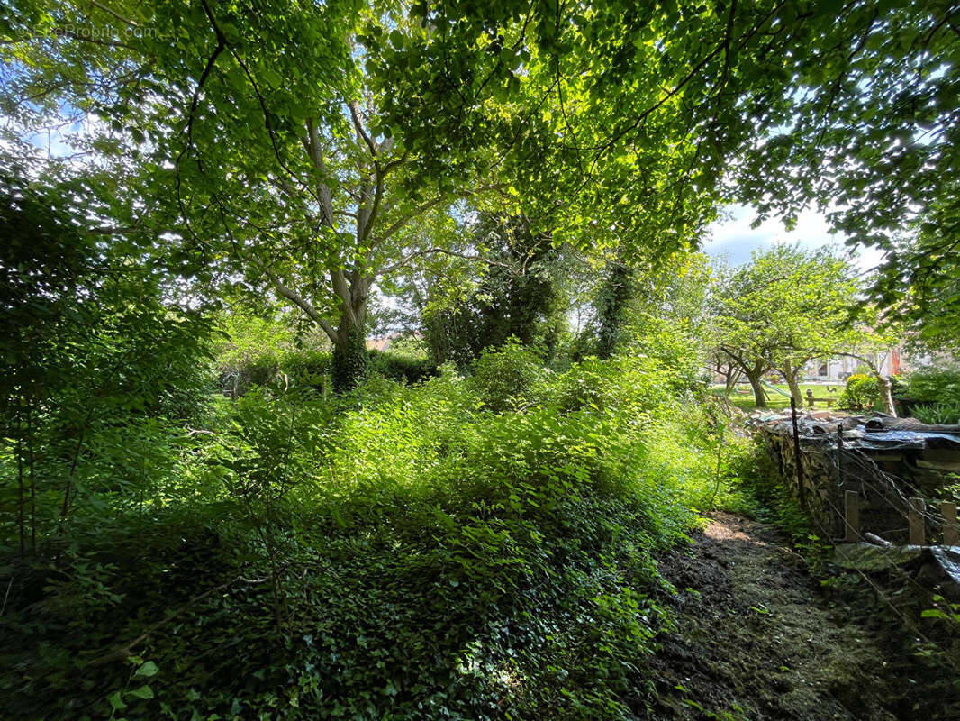 Terrain à DANNEMOIS