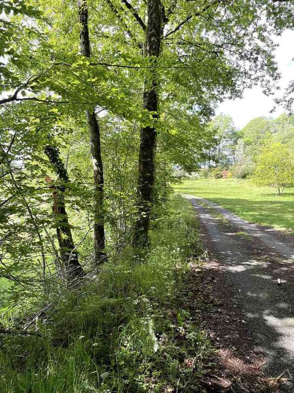 Terrain à SAINT-DENIS-DES-MURS