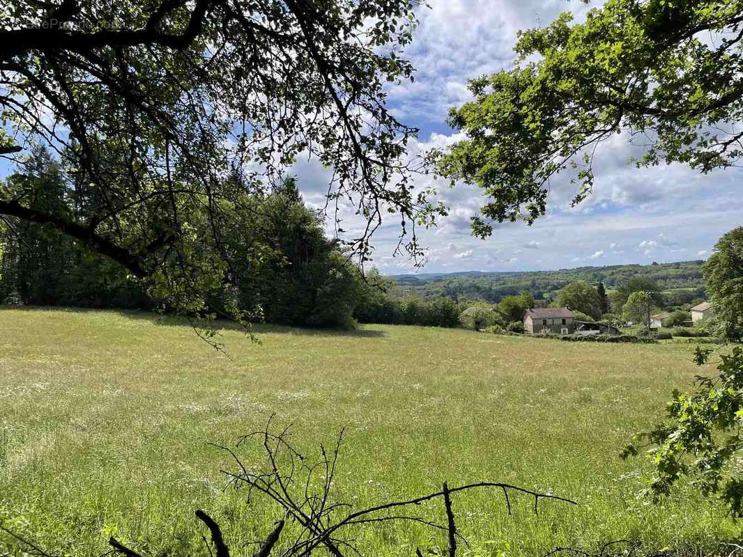 Terrain à SAINT-DENIS-DES-MURS