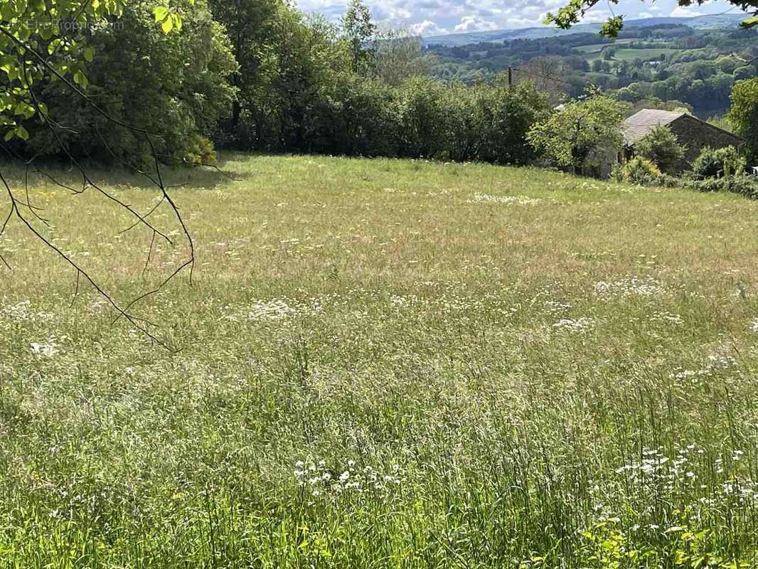 Terrain à SAINT-DENIS-DES-MURS