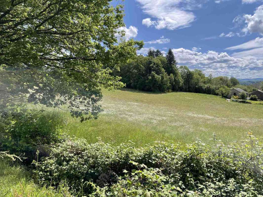 Terrain à SAINT-DENIS-DES-MURS