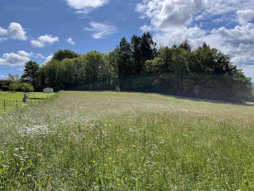 Terrain à SAINT-DENIS-DES-MURS