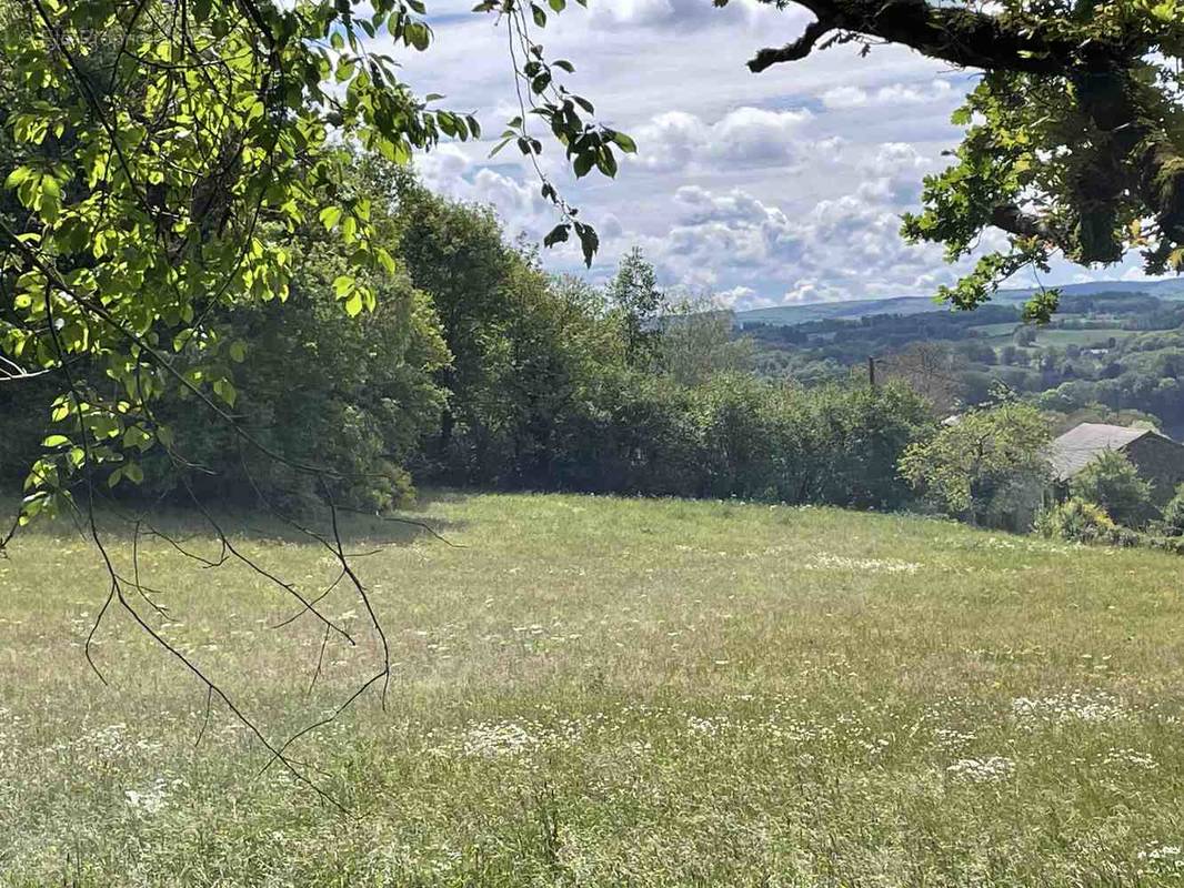 Terrain à SAINT-DENIS-DES-MURS