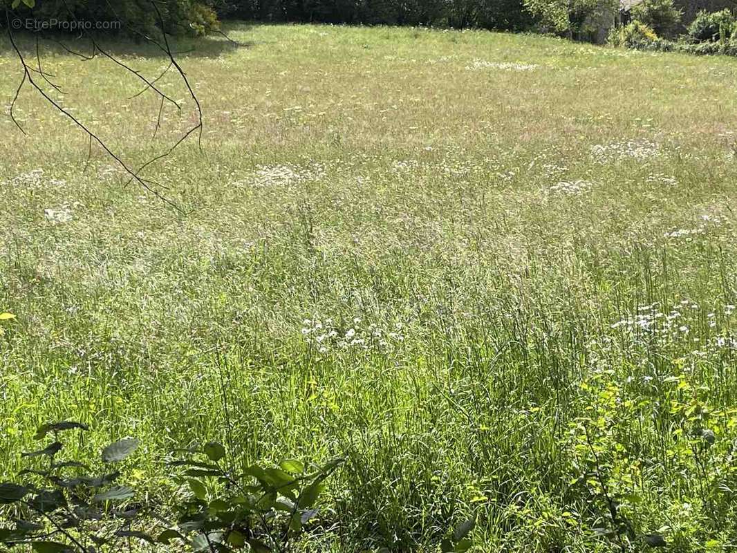 Terrain à SAINT-DENIS-DES-MURS