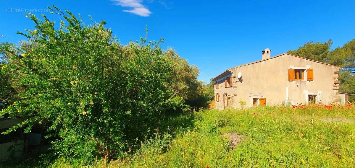 Maison à PUGET-SUR-ARGENS