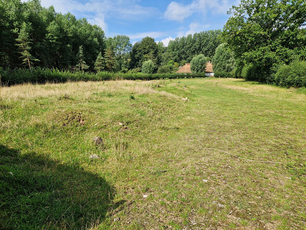 Terrain à MARESVILLE