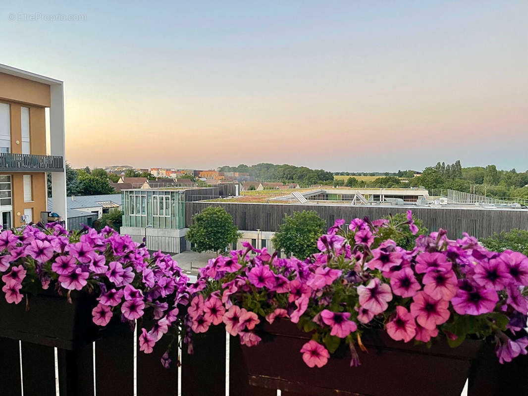 Appartement à LOUVRES