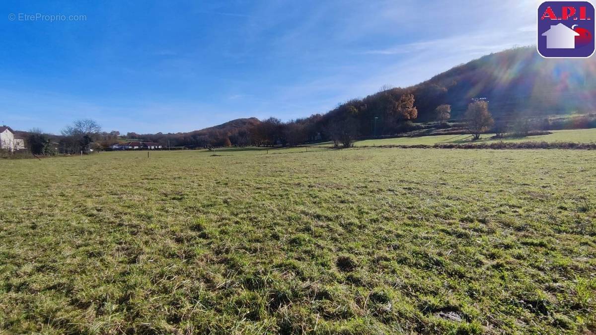 Terrain à MONTJOIE-EN-COUSERANS