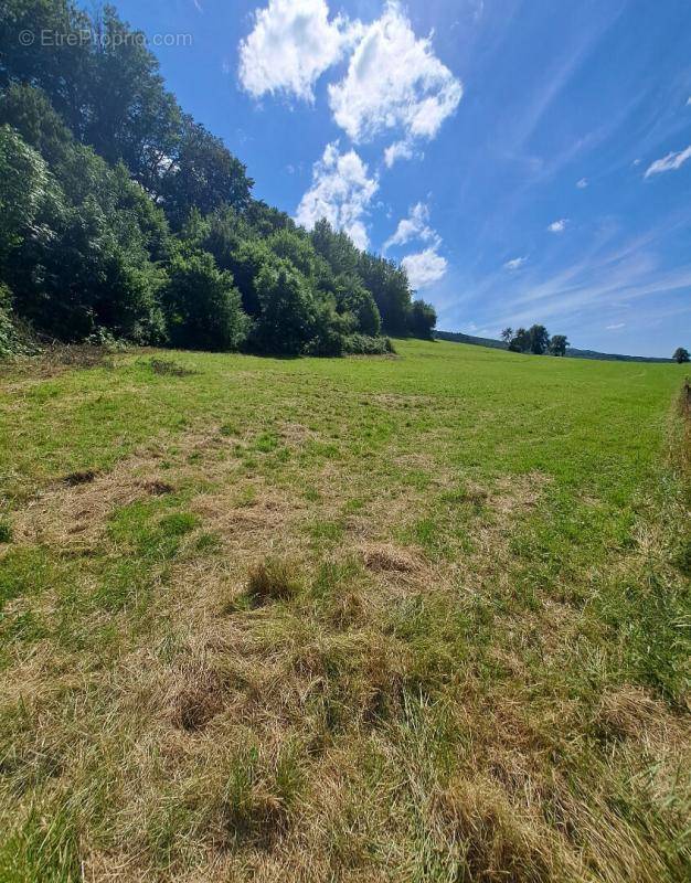 Terrain à VILLARS-LES-BLAMONT