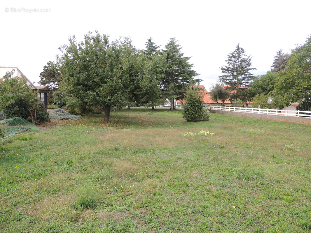 Terrain à SAINT-MARTIN-DES-NOYERS