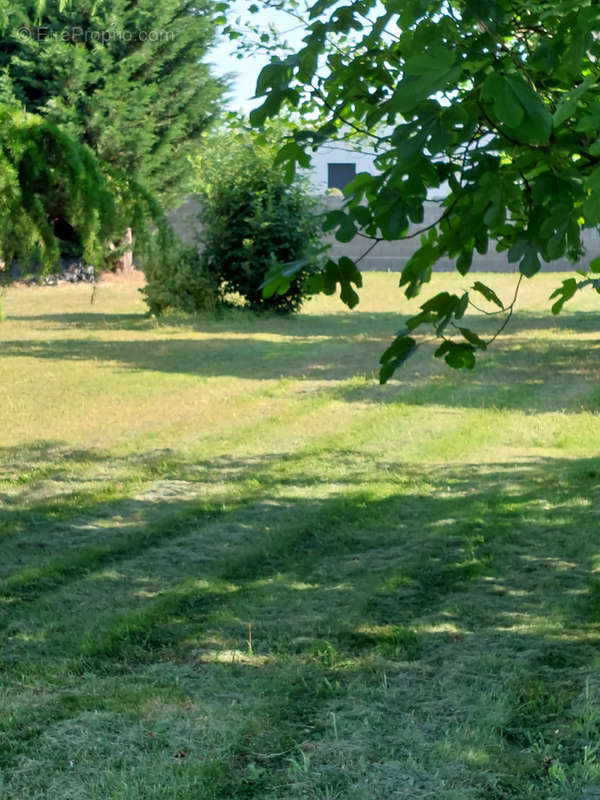 Terrain à SAINT-MARTIN-DES-NOYERS