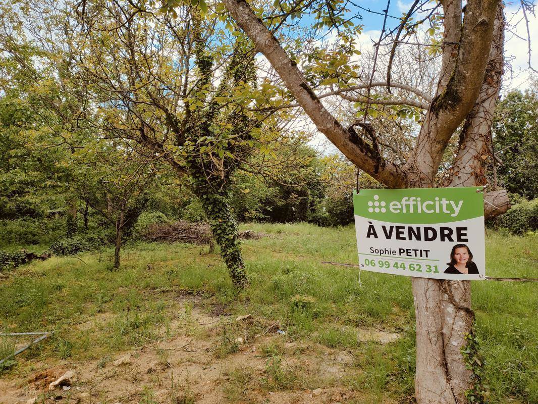 Terrain à TAVERNY