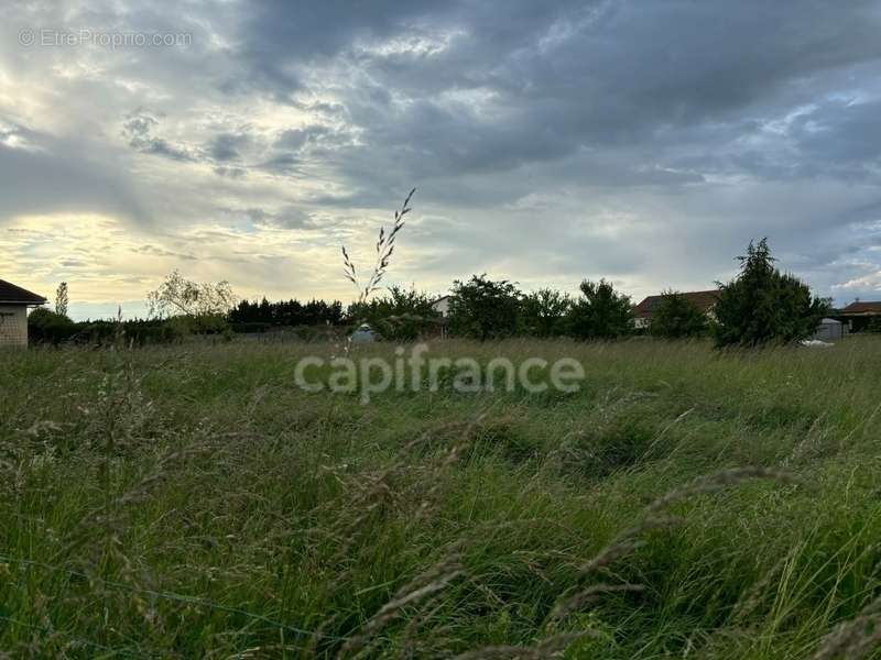 Terrain à MONETAY-SUR-ALLIER