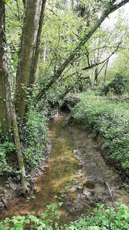 Terrain à SAINT-ULPHACE