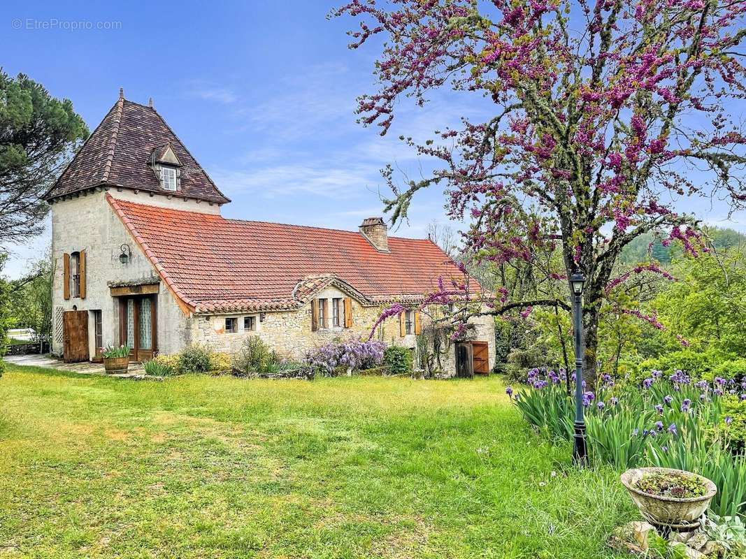 Jardin - Maison à FRAYSSINET