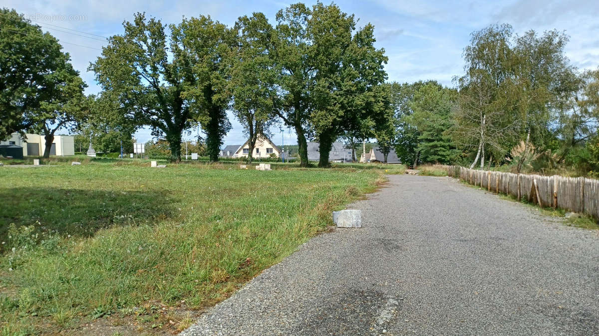 Terrain à SAINT-DOLAY